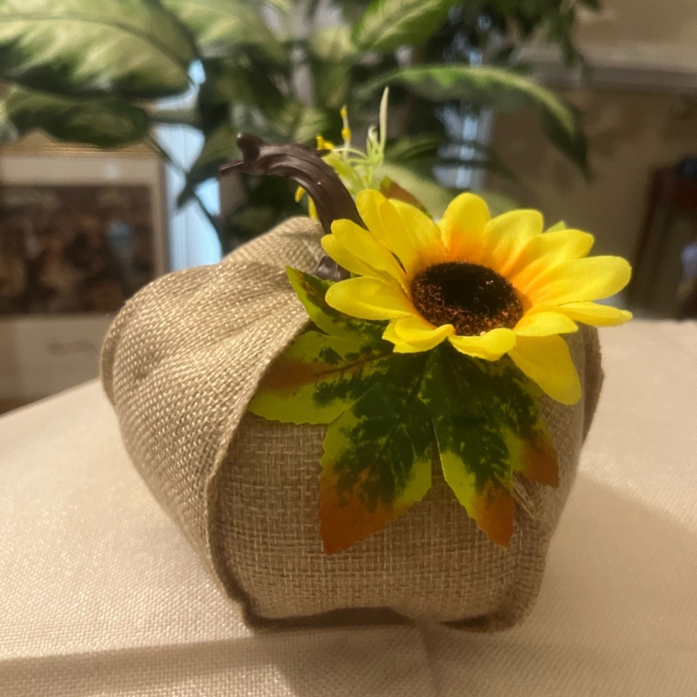 Pumpkin Decor